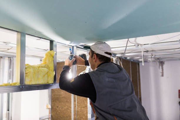 Types of Insulation We Offer in Forest Acres, SC