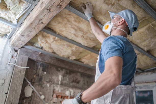 Best Energy Efficiency Insulation in Forest Acres, SC