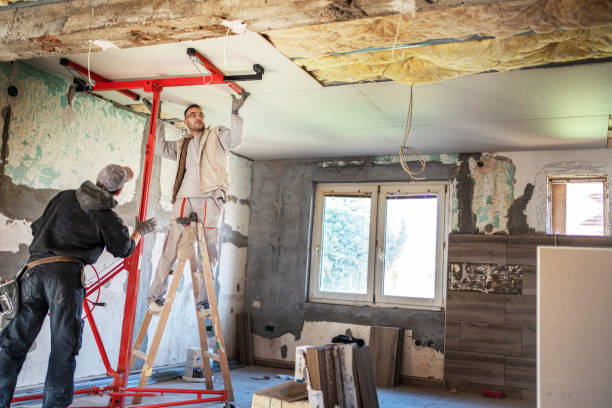 Best DIY Insulation Kits and Guidance in Forest Acres, SC