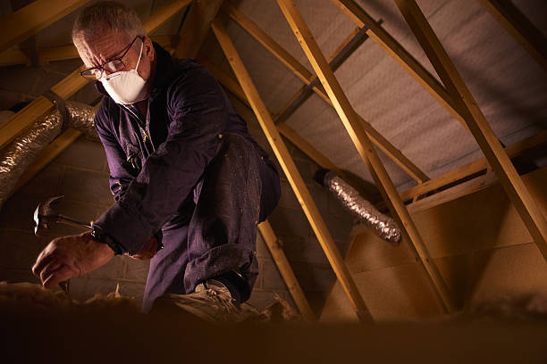 Best Specialized Insulation Services in Forest Acres, SC